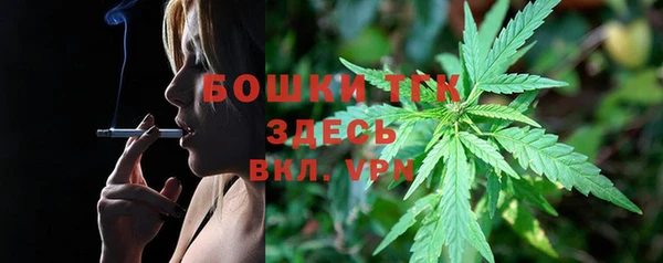 СК Волоколамск