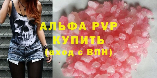 СК Волоколамск