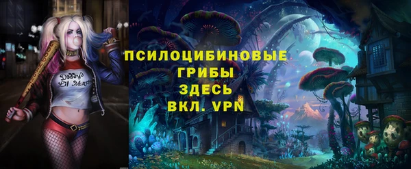 СК Волоколамск