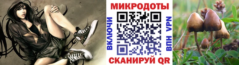 Купить  Нязепетровск  Псилоцибиновые грибы Magic Shrooms 